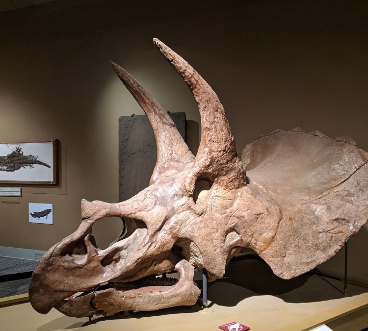 University of Colorado Museum of Natural History (Boulder,&nbspCO)